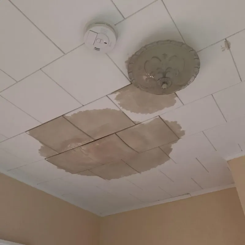 Ceiling Water Damage Repair in Bolton, MA