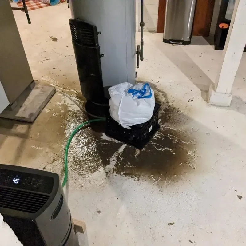 Sewage Backup Cleanup Service in Bolton, MA